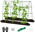 Lalahoni Cucumber Trellis, 65x48 inch Garden Trellis by Thereasonyoulovegardening