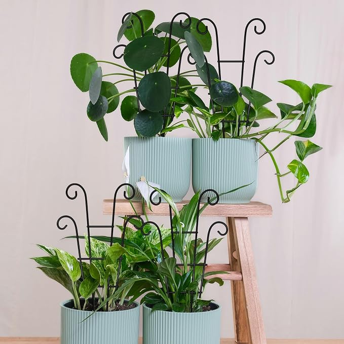 Coomin Small Plant Trellis for Climbing Plants Indoor, 14.5in Metal House Plant - Image 8