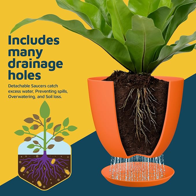 Yellow Plant Pots with Drainage Holes & Saucers 20 Pack, Indoor & Outdoor - Image 5