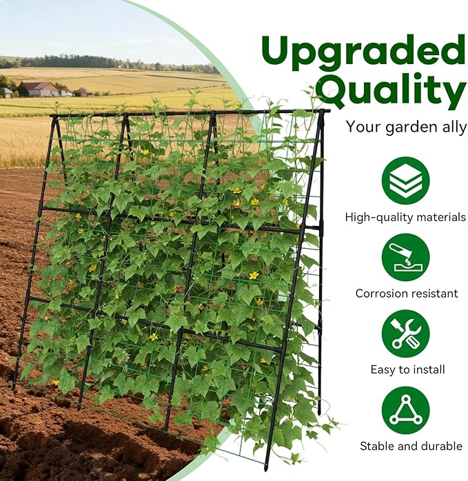 Cucumber Trellis - Image 3