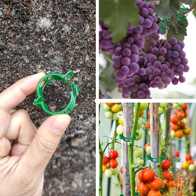 Plant Support Clips, Plastic Trellis Clips, Grape Vine Tomato Vine Vegetables - Image 3