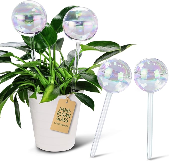 Extra-Thick Clear Glass Plant Watering Globes, Rainbow Gradient Self Watering by SoilaguaDirect