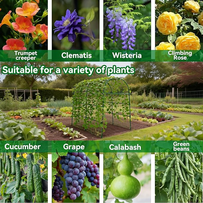 Garden Arch Trellis for Climbing Plants Outdoor - Image 2
