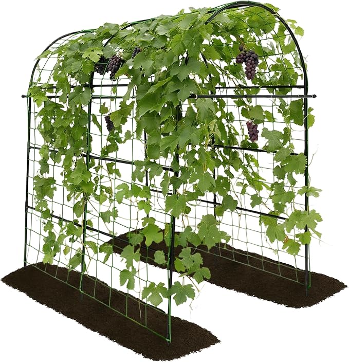 Garden Arch Trellis for Climbing Plants Outdoor by TrellumeGardenHome