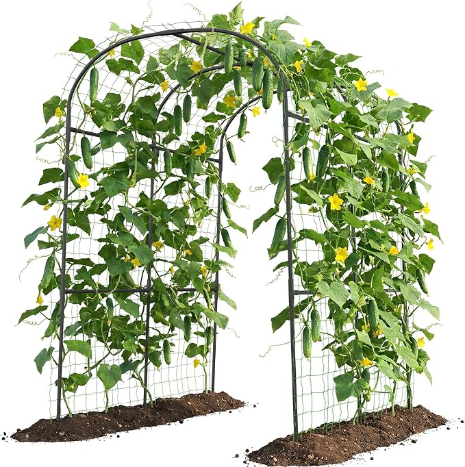 Tall Garden Arch Trellis for Climbing Plants, 83in Tall Metal Plant Support by UrGROWA