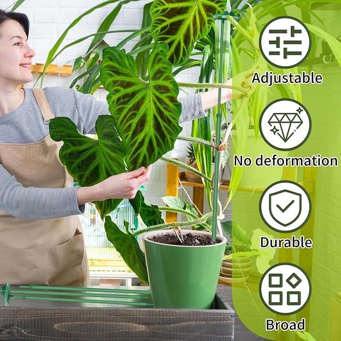 Extendable Plant Stakes, Adjustable Length from 14.3IN to 25IN Monstera Support - Image 6