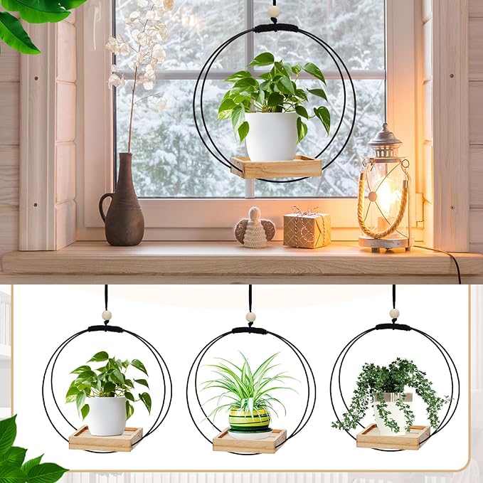Geelin 2 Pack Plant Hanger - Image 3