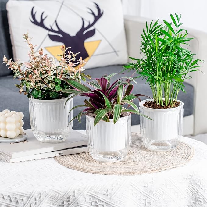 Josteve 4.5 Inch 2 Pcs Self Watering Hanging Planter Indoor Plant Pots Drainage - Image 6