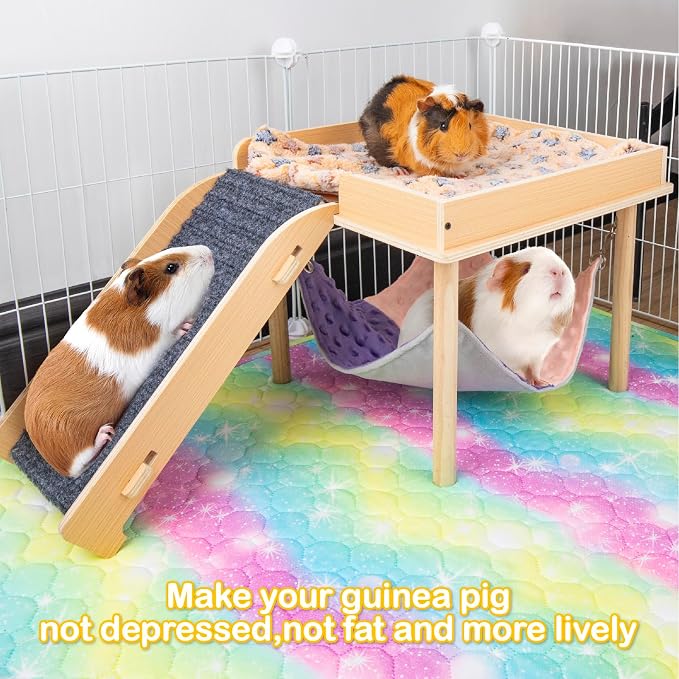 Enlarged Guinea Pig Hammock - Image 2