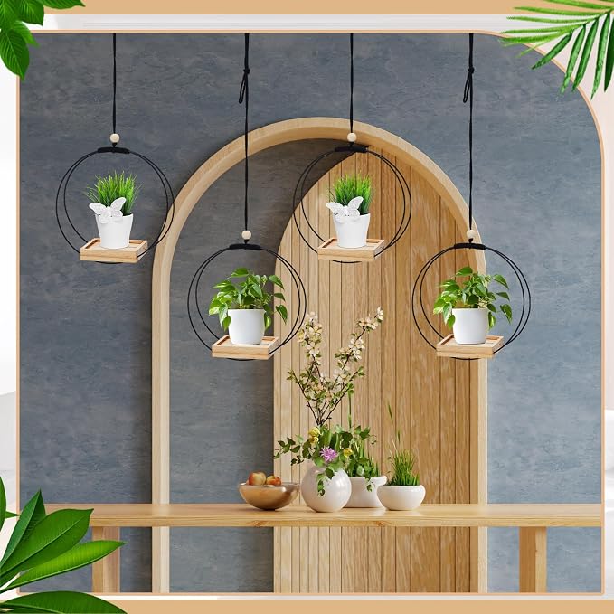 Geelin 4 Pack Plant Hanger - Image 4
