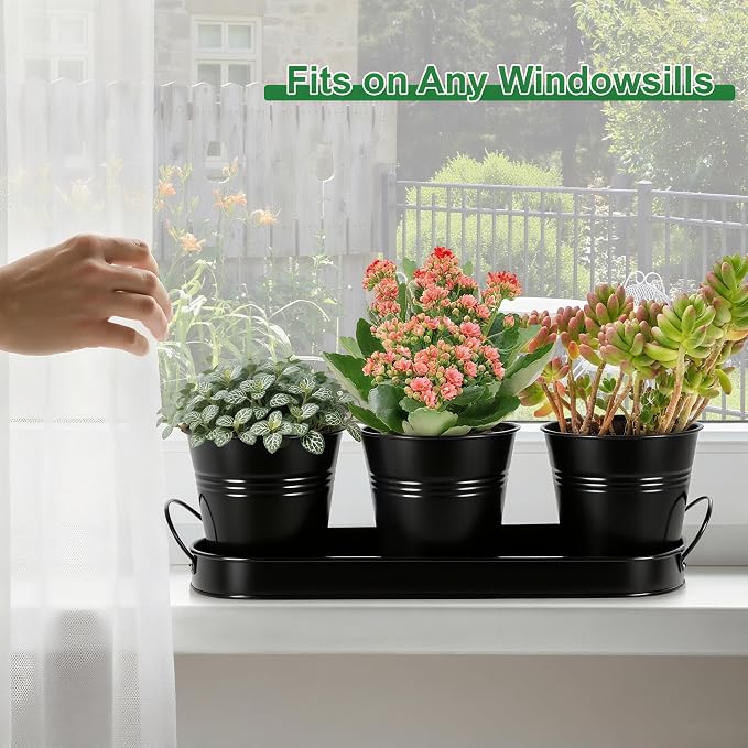 Herb Garden Planter Indoor Kit – 6 Metal Pots - Image 5