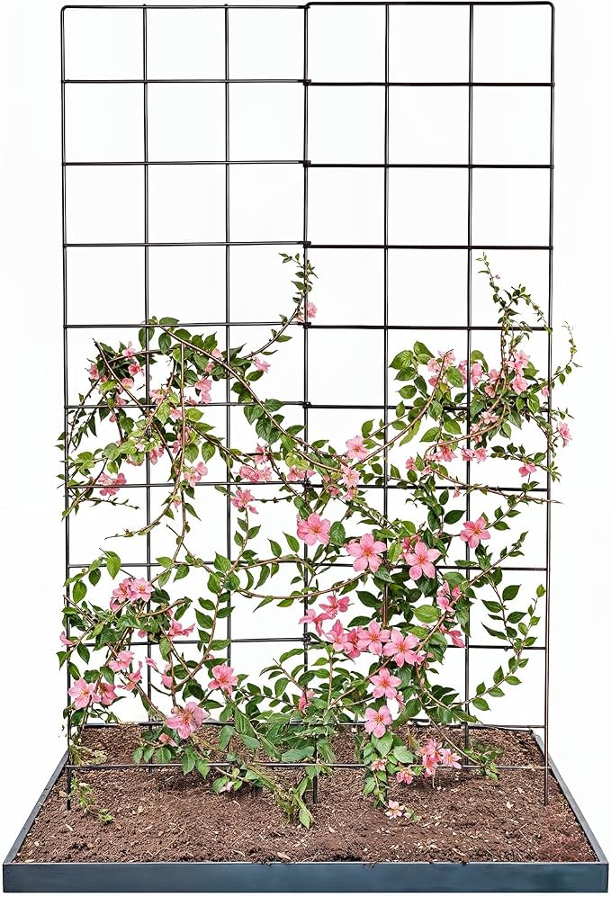 IDZO 2-Panel Folding Trellis, Basic Metal Decoration Trellis by Idzo