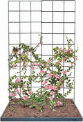 IDZO 2-Panel Folding Trellis, Basic Metal Decoration Trellis by Idzo