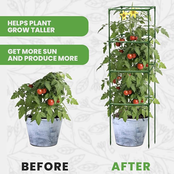 Tomato Cage Square - Image 5