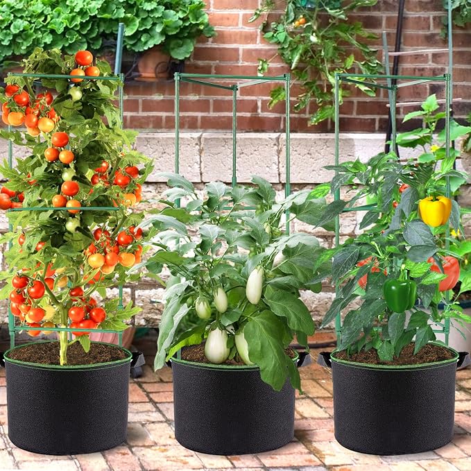 ANPHSIN 3 Sets Tomato Cages - Image 5