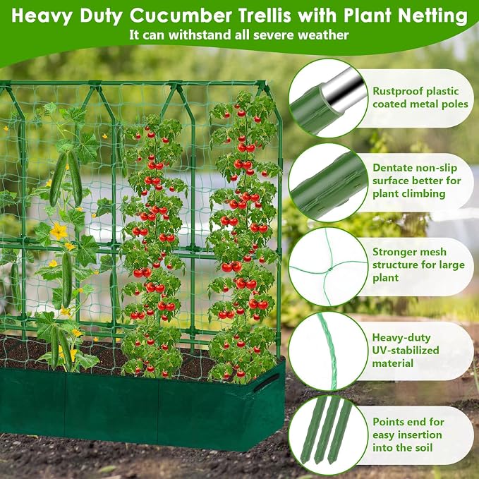 Large Cucumber Trellis for Climbing Plants - Image 6