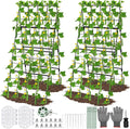 2Packs 17 x 42 Inch Garden Trellis by LifeisLuck