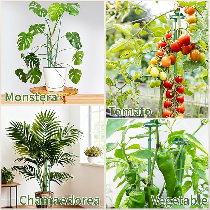 Extendable Plant Stakes, Adjustable Length from 14.3IN to 25IN Monstera Support - Image 5