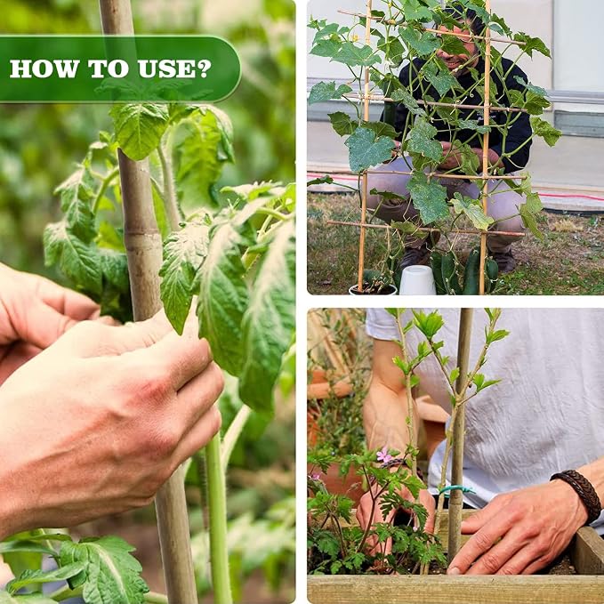 15pcs 3/4" D Thicker Heavy Duty Bamboo Stakes, 7FT Plant Stakes, Natural Garden - Image 7