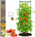 Tomato Cage - Large Trellis Stakes and Plant Support Structures by K-BRANDS