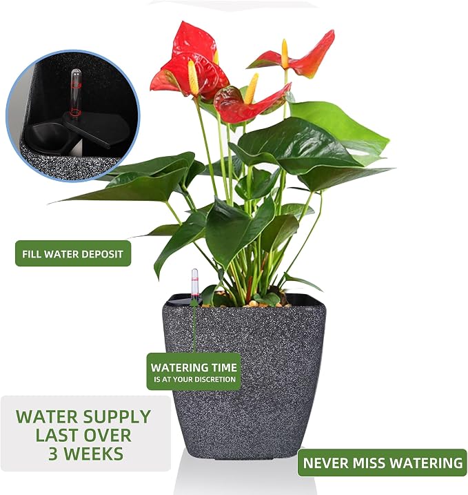 Dexceder 18x17 Self Watering Planter - Image 5