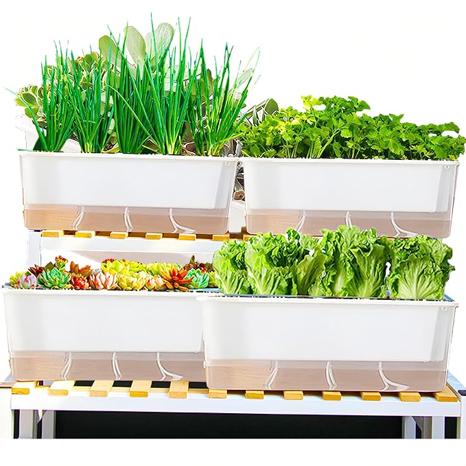 FAMZ Self Watering Pots for Indoor Plants 3 Pack Transparent Rectangular by FAMZ
