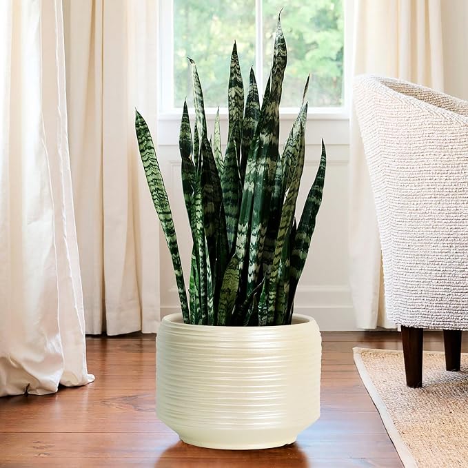 10 Inch Ceramic Plant Pot with Drainage – Large Flower Pot - Image 7
