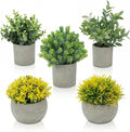 Fake Plants, 5 Pack Artificial Eucalyptus & Greenery in Cement Pots by Unknown