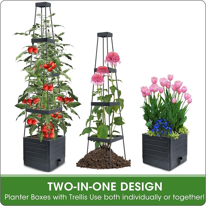 MQFORU Tomato Planter Boxes - Image 4
