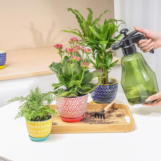 Selamica Ceramic Succulent Pots - Image 5