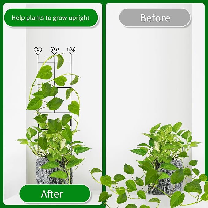 2 Pack 30'' Plant Trellis for Climbing Plants Indoors, Metal Garden Trellis for - Image 2