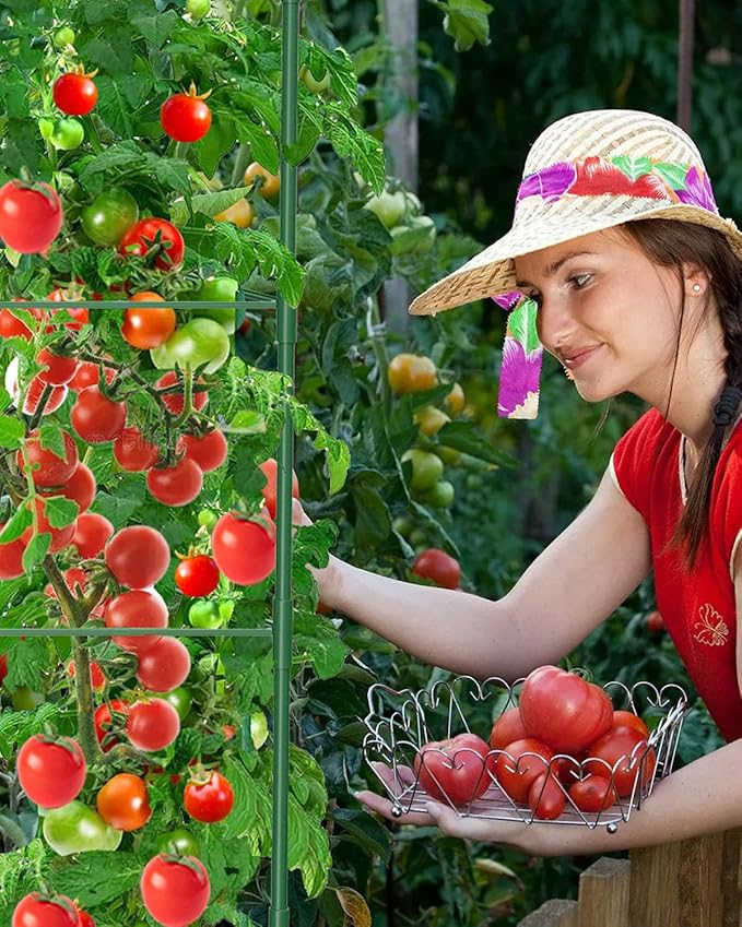 8 Pack Tomato Cages for Garden, 51in*13in Adjustable Tomatoes Plant Stakes - Image 9