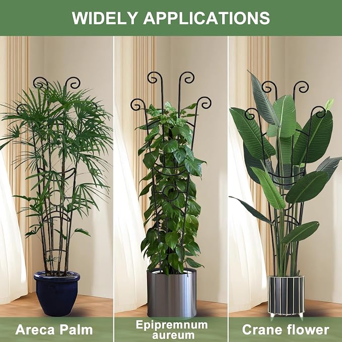 32.6in Monstera Plant Support Stakes - Image 4