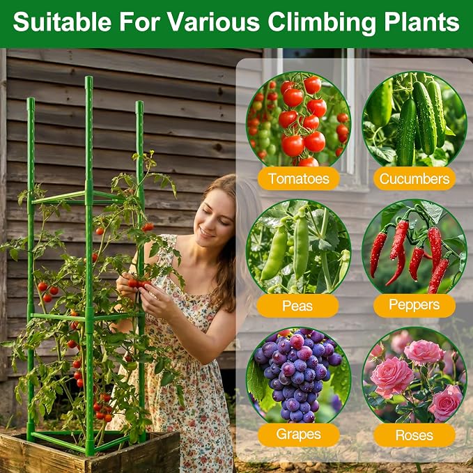 WAENLIR 6-Pack Tomato Cage for Garden, Plant Stakes for Pots, Durable Tomato - Image 8