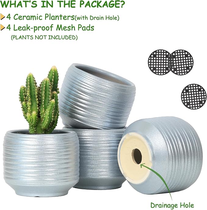 Mini Succulent Planter Set – 3.7 Inch Ceramic Pots - Image 2