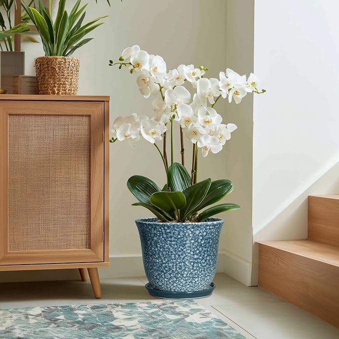 Ceramic Plant Pots - Image 5