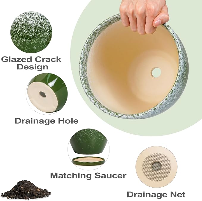 Ceramic Pots for Plants - Image 6