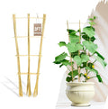 Avalution 10 Pack Bamboo Trellis by Avalution