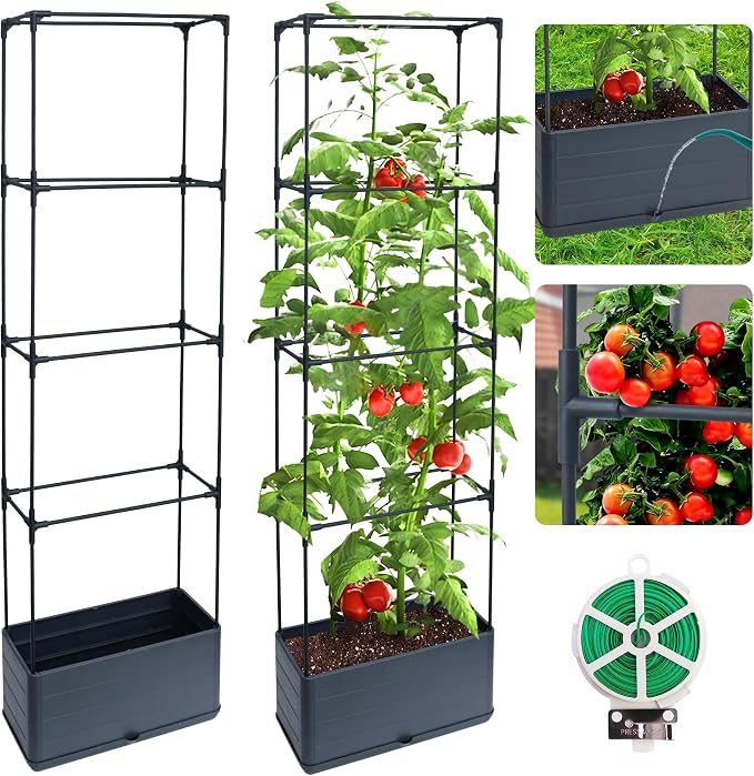 2 Packs Raised Garden Bed Tomato Planter Box by Biotolot