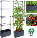 2 Packs Raised Garden Bed Tomato Planter Box by Biotolot
