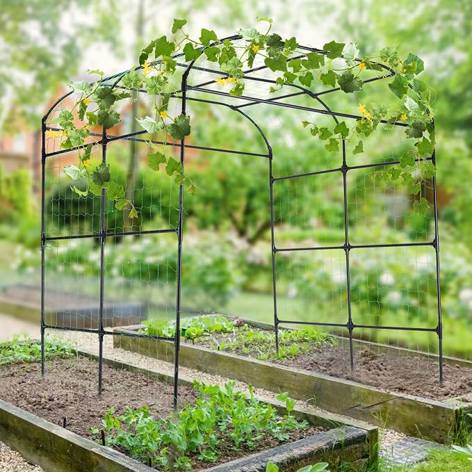 Garden Arch Trellis for Climbing Plants Outdoor, Cucumber Trellis for Raised Bed - Image 5