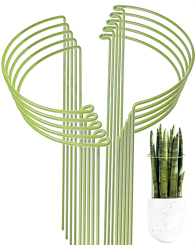10-Pack Plant Support Stakes, Heavy Duty Steel Plant Stakes as Monstera Plant by Unknown