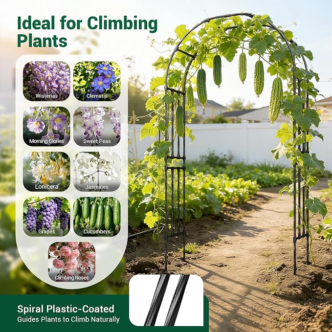 Miory Garden Arch Trellis for Climbing Plants, 1.3 x 7.9ft Metal Pumpkin - Image 6