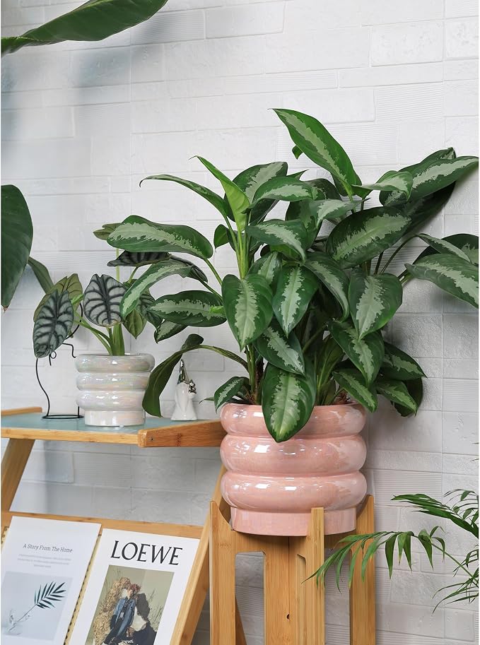 10 inch Ceramic Plant Pots for Indoor Plants, Rainbow Pearl Glaze Planter - Image 5