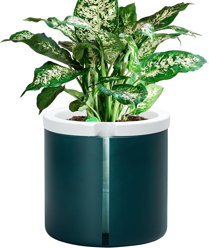 D'vine Dev 8 Inch Design Self Watering Planter by DvineDevPlanterPotsandStand
