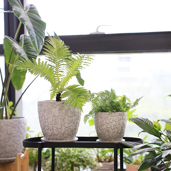 8 Inch + 6 Inch Retro Ceramic Planter Set of 2 - Image 7