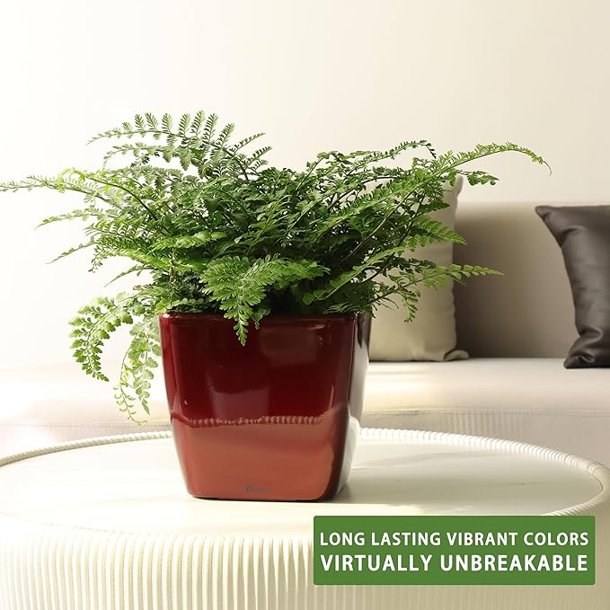 Dexceder 9x8 Self Watering Planter Indoor Outdoor, Inner Mat Design, Thickened - Image 6