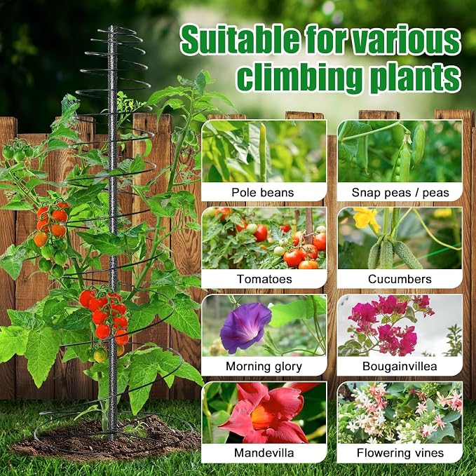 Spiral Frame Trellis for Climbing Plants Outdoor -72" Tall Heavy Duty Metal - Image 7