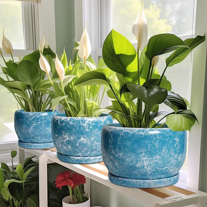 SQOWL Ceramic Planters - Image 6