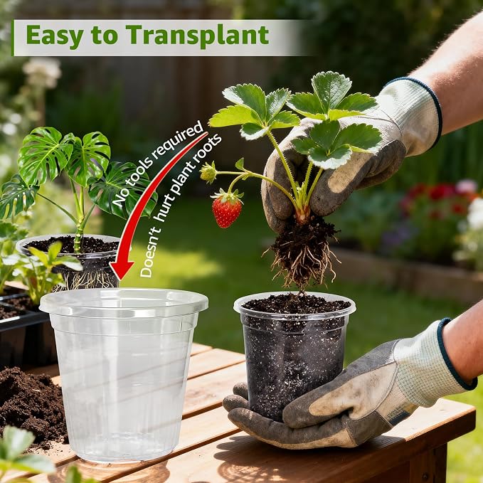 MIXC Clear Nursery Pots with Drainage Holes, 7/5/4/3.5 Inch Reinforced - Image 4